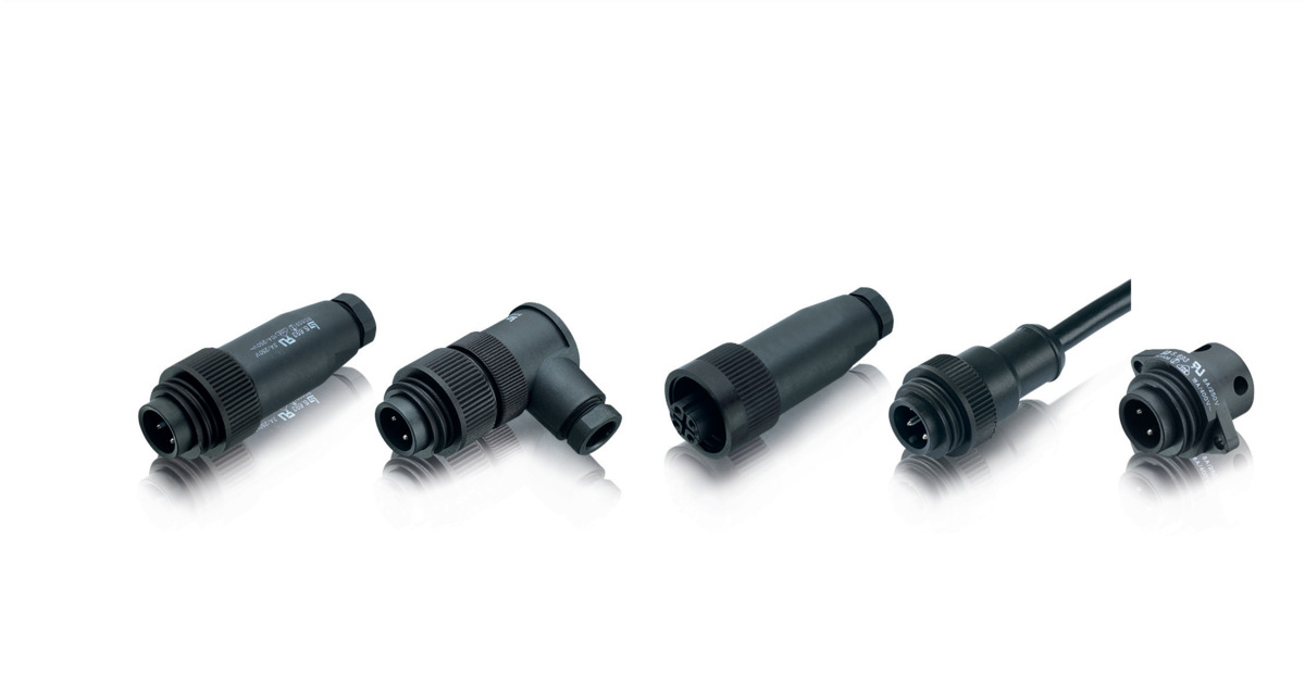 RD24 Stecker