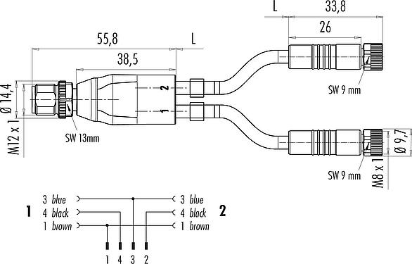 Scale drawing M12/M8 Male cable splitter - 2 female cable connectors, Contacts: 4/3, unshielded, moulded on the cable, IP67, UL 2238, PUR, black, 3 x 0.34 mm², 1 m