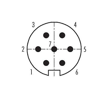 Contact arrangement (Plug-in side) Push Pull Male cable connector, Contacts: 7, 4.0-8.0 mm, shieldable, solder, IP67