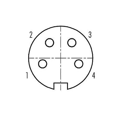 Contact arrangement (Plug-in side) Push Pull Female cable connector, Contacts: 4, 4.0-8.0 mm, shieldable, solder, IP67