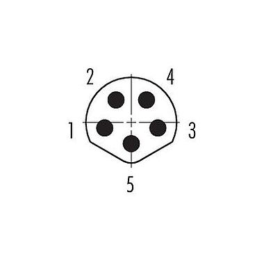 Contact arrangement (Plug-in side) M8 Male panel mount connector, Contacts: 5, shieldable, THT, IP67, UL 2238, M8x1.0, Rear mounting, potted