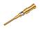 Accessories--Crimpcontact_M12_Crimp_Stecker