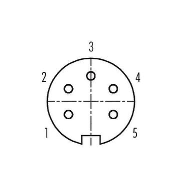 Contact arrangement (Plug-in side) Bayonet Female angled connector, Contacts: 5, 6.0-8.0 mm, unshielded, solder, IP40