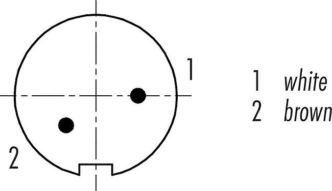 Contact arrangement (Plug-in side) M9 Male cable connector, Contacts: 2, shielded, moulded on the cable, IP67, PUR, black, 5 x 0.25 mm², 2 m