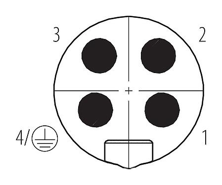 Disposición de los contactos (lado de la conexión) 7/8" Conector de cable macho, Número de contactos: 3+PE, 6,0-8,0 mm, sin blindaje, tornillo extraíble, IP67, UL 2238, VDE