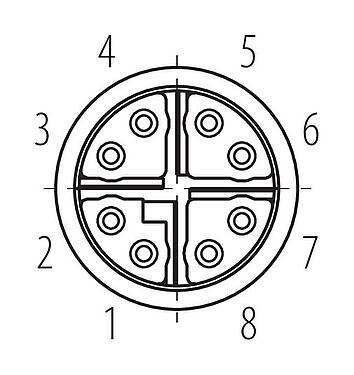 Contact arrangement (Plug-in side) M12 Female panel mount connector, Contacts: 8, shieldable, SMT, IP68, M14x1.0, Rear mounting