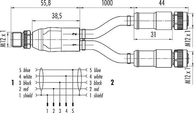 Scale drawing M12 Male cable splitter - 2 female cable connectors, Contacts: 5, shielded, moulded on the cable, IP67, CAN-Bus, PUR, violet, 1 x 2 x AWG 22 + 1 x 2 x AWG 24, 2 m