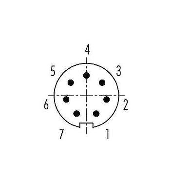 Contact arrangement (Plug-in side) Bayonet Male cable connector, Contacts: 7, 3.0-4.0 mm, unshielded, solder, IP40