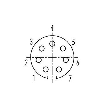 Contact arrangement (Plug-in side) M9 Female panel mount connector, Contacts: 7, unshielded, THT, IP67, M12x0.5, Rear mounting