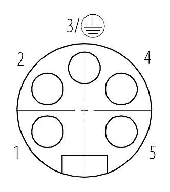 Disposition des contacts (Côté plug-in) 7/8" Embase femelle, Contacts: 4+PE, non blindé, THT, IP68, UL 2238, VDE, Montage mural arrière, coulé