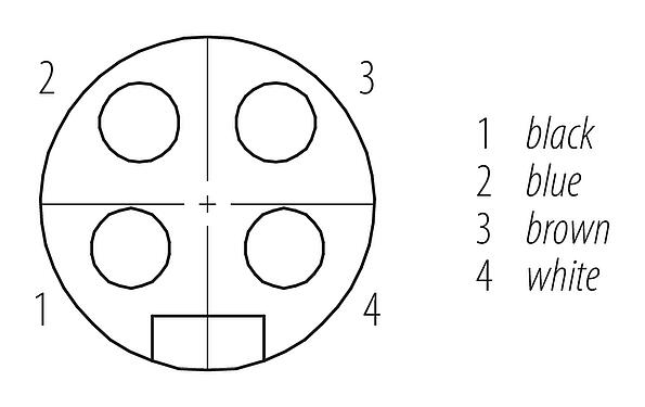 Disposition des contacts (Côté plug-in) 7/8" Connecteur femelle, Contacts: 4, non blindé, surmoulé sur le câble, IP68, UL 2238, PUR, noir, 4 x 1,50 mm², 2 m