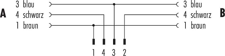 Pin assignment plans M8 Male cable splitter - 2 female cable connectors, Contacts: 4/3, unshielded, moulded on the cable, IP67, UL 2238, PUR, black, 3 x 0.34 mm², 1 m
