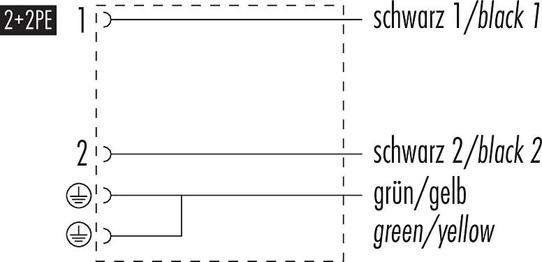 Schémas d’affectation des broches Douille d'électrovanne, Contacts: 2+2PE, non blindé, surmoulé sur le câble, IP67, PUR, noir, 3 m