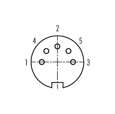 Contact arrangement (Plug-in side) M16 Female cable connector, Contacts: 5 (05-b), 3.0-6.0 mm, unshielded, solder, IP40