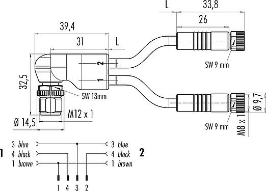 Scale drawing M12/M8 Male angled cable splitter- 2 female cable connectors, Contacts: 4/3, unshielded, moulded on the cable, IP67, UL 2238, PUR, black, 3 x 0.34 mm², 1 m