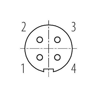 Contact arrangement (Plug-in side) M9 Female panel mount connector, Contacts: 4, unshielded, THT, IP40, M9x0,5, Front mounting