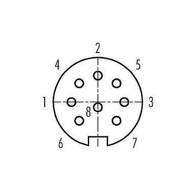 Contact arrangement (Plug-in side) Bayonet Female panel mount connector, Contacts: 8, unshielded, solder, IP40, M18x0,75, Front mounting