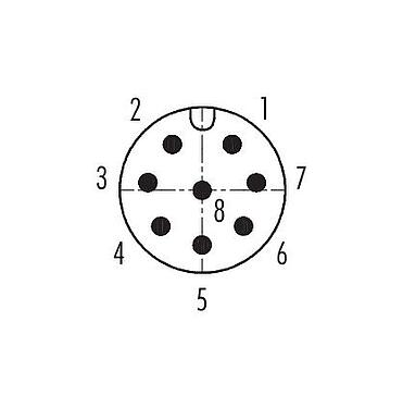 Contact arrangement (Plug-in side) M12 Lead-through for control cabinet, Contacts: 8, shielded, pluggable, IP67, UL 2238, M12x1.0, Rear mounting
