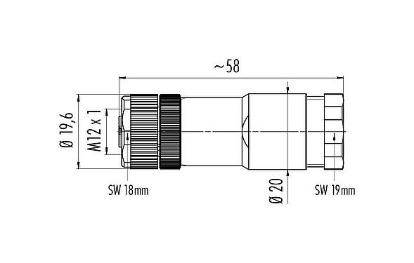 Dessin coté M12 Duo-connecteur femelle, Contacts: 4, 2.1-3.0 mm (2 câble) ou 4-5 mm (2 câble), non blindé, pince à visser, IP67, UL 2238