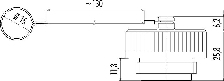 Dibujo a escala Tapa protectora, IP65, para conector de cable hembra