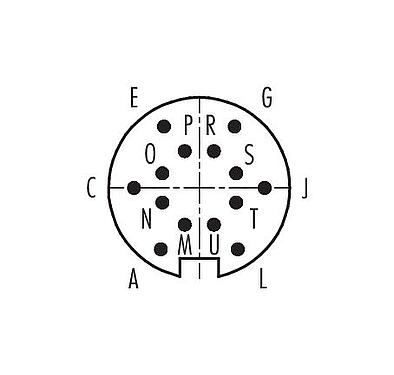 Contact arrangement (Plug-in side) M16 Male angled connector, Contacts: 14 (14-b), 4.0-6.0 mm, unshielded, solder, IP40