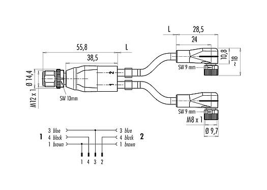 Scale drawing M12/M8 Male cable splitter - 2 female angled connector, Contacts: 4/3, unshielded, moulded on the cable, IP67, UL 2238, PUR, black, 3 x 0.34 mm², with LED PNP closer, 1 m