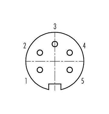 Contact arrangement (Plug-in side) Push Pull Female cable connector, Contacts: 5, 4.0-8.0 mm, shieldable, solder, IP67