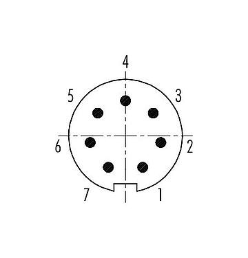 Contact arrangement (Plug-in side) Push Pull Male cable connector, Contacts: 7, 3.5-5.0 mm, shieldable, solder, IP67