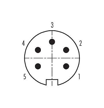 Contact arrangement (Plug-in side) Push Pull Male cable connector, Contacts: 5, 4.0-8.0 mm, shieldable, solder, IP67