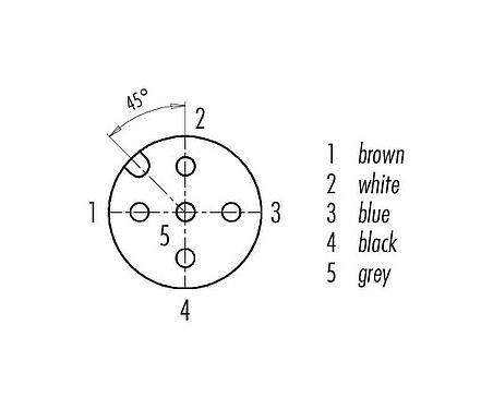 Contact arrangement (Plug-in side) M12 Female panel mount connector, Contacts: 5, unshielded, single wires, IP67, UL 2238, M20x1.5, Front mounting, potted