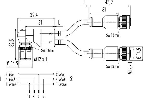 Scale drawing M12 Male angled cable splitter- 2 female cable connectors, Contacts: 4/3, unshielded, moulded on the cable, IP67, UL 2238, PUR, black, 3 x 0.34 mm², 1 m
