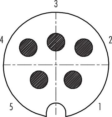 Contact arrangement (Plug-in side) M25 Male panel mount connector, Contacts: 5, shieldable, solder, IP40, Front mounting
