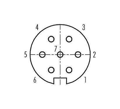 Contact arrangement (Plug-in side) Push Pull Female panel mount connector, Contacts: 7, shieldable, solder, IP67, M21x1,0, Rear mounting