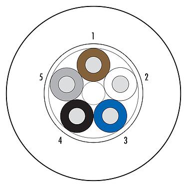 Illustration Raw cable, Contacts: 5 wires, shielded, UL, Standard, PUR, black, 5 x 0.25 mm², 100 m
