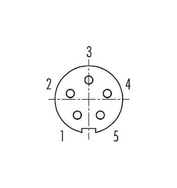 Contact arrangement (Plug-in side) Bayonet Female panel mount connector, Contacts: 5, unshielded, solder, IP40, M10x0.75, Front mounting