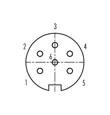 Contact arrangement (Plug-in side) Push Pull Female panel mount connector, Contacts: 6, shieldable, solder, IP67, M21x1,0, Rear mounting