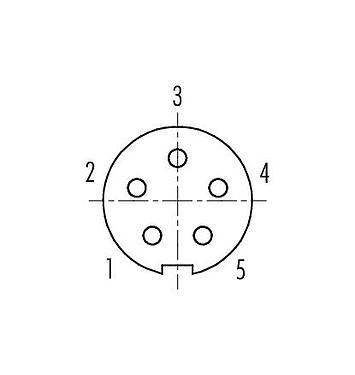 Contact arrangement (Plug-in side) M9 Female angled panel mount connector, Contacts: 5, shieldable, THT, IP67, Rear mounting, potted