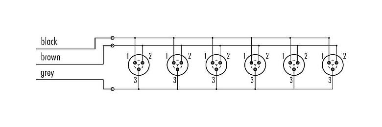 Schémas d’affectation des broches Snap-In Distributeur 6 voies, Contacts: 3, non blindé, surmoulé sur le câble, IP67, 3 x 0,75 mm²