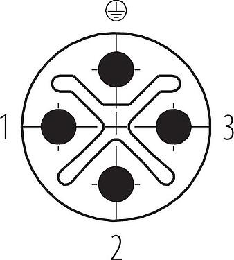 Disposición de los contactos (lado de la conexión) M12 Conector de cable macho, Número de contactos: 3+PE, 6,0-8,0 mm, sin blindaje, tornillo extraíble, IP67, UL 2238, VDE