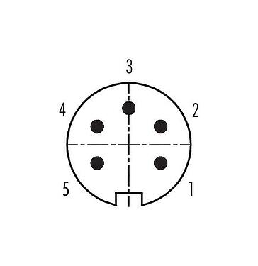Contact arrangement (Plug-in side) M16 Male cable connector, Contacts: 5 (05-a), 4.0-6.0 mm, shieldable, solder, IP40