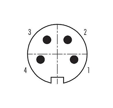 Contact arrangement (Plug-in side) Push Pull Male cable connector, Contacts: 4, 4.0-8.0 mm, shieldable, solder, IP67
