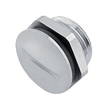 Accessories--Blind plug / Dummy plug_713_Blindverschraubung