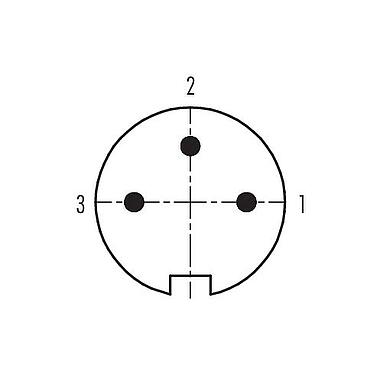 Contact arrangement (Plug-in side) Push Pull Male cable connector, Contacts: 3, 4.0-8.0 mm, shieldable, solder, IP67
