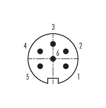 Contact arrangement (Plug-in side) M16 Male cable connector, Contacts: 6 (06-a), 4.0-6.0 mm, shieldable, solder, IP40