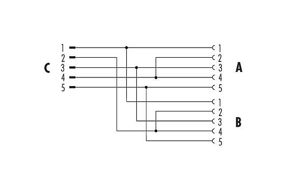 Pin assignment plans M12 Twin distributors Y-distributor, male connector - 2 female connector, Contacts: 5, unshielded, pluggable, IP68, UL 2238