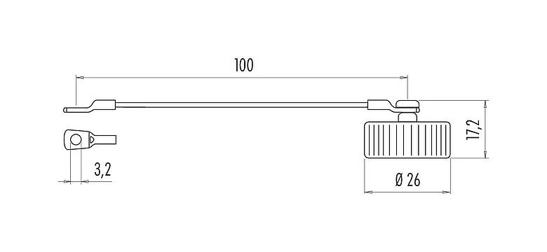 Scale drawing Protecting cap, IP67, with chain