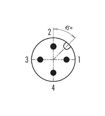 Contact arrangement (Plug-in side) M12 Male cable duo connector, Contacts: 4, 2.1-3.0 mm (2 cable) or 4-5 mm (2 cable), unshielded, screw clamp, IP67, UL 2238
