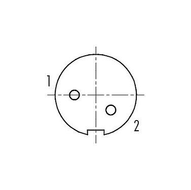 Contact arrangement (Plug-in side) M9 Female angled panel mount connector, Contacts: 2, shieldable, THT, IP67, Rear mounting, potted