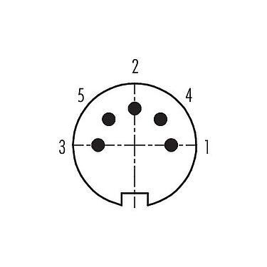Contact arrangement (Plug-in side) M16 Male cable connector, Contacts: 5 (05-b), 4.0-6.0 mm, shieldable, solder, IP40