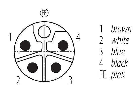 Disposition des contacts (Côté plug-in) M12 Connecteur mâle coudé, Contacts: 4+FE, non blindé, surmoulé sur le câble, IP68, UL 2238, PUR, noir, 5 x 1,50 mm², 2 m